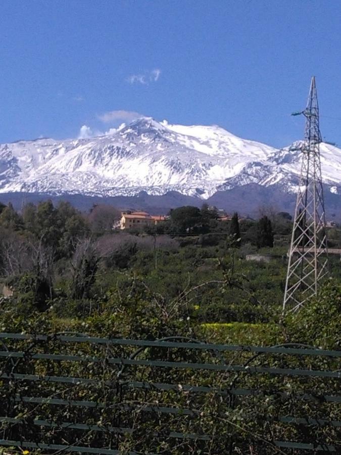 הוילה מסקלי Ai Tre Archi Di Tagliaborse מראה חיצוני תמונה